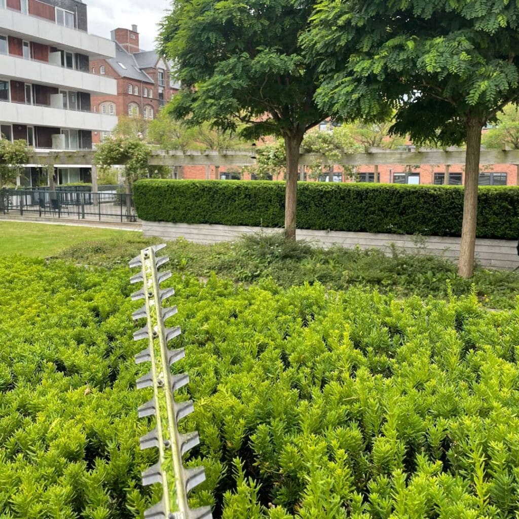 gartnerservice - sologstrand